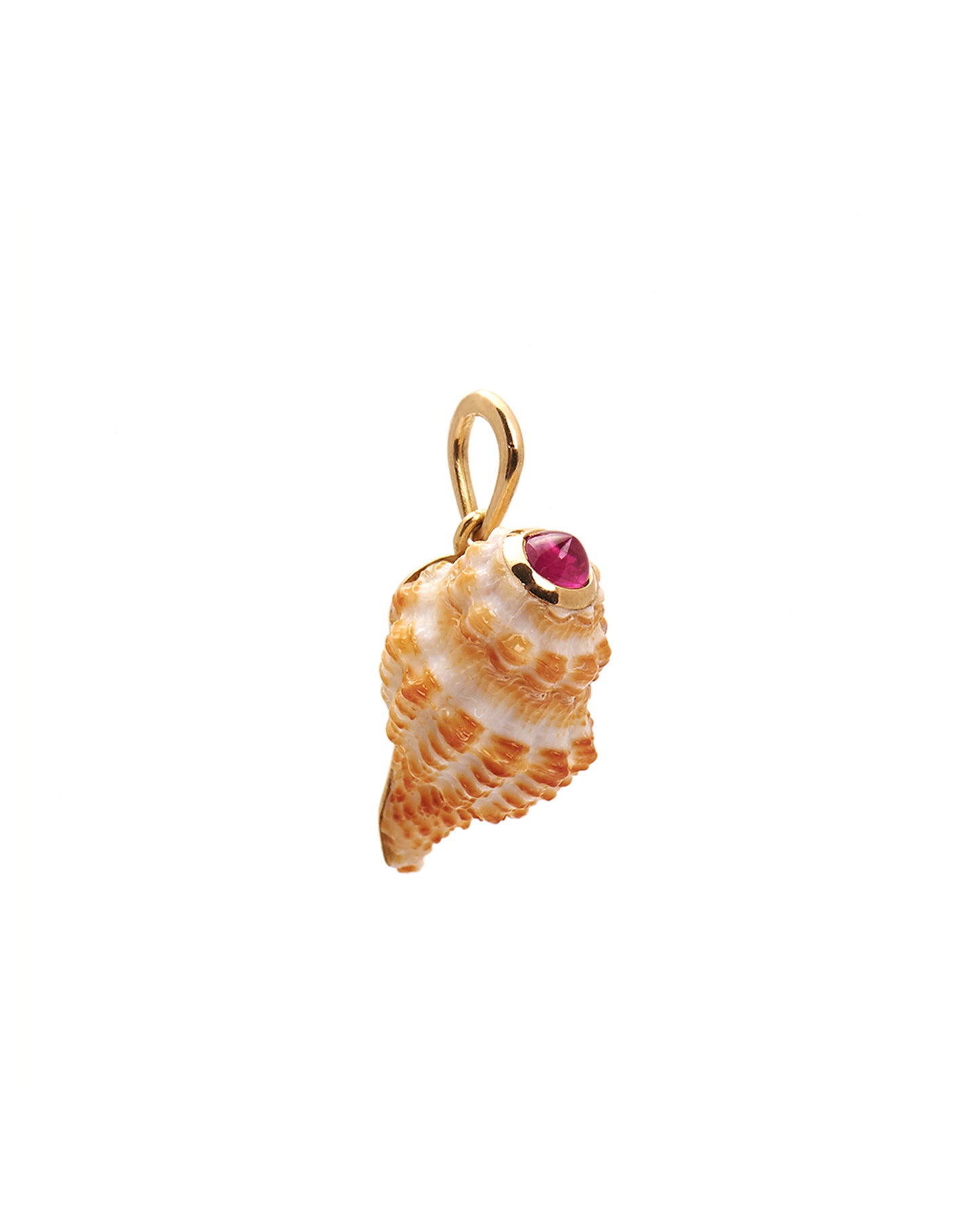 Ruby Cabochon Cantharus shell