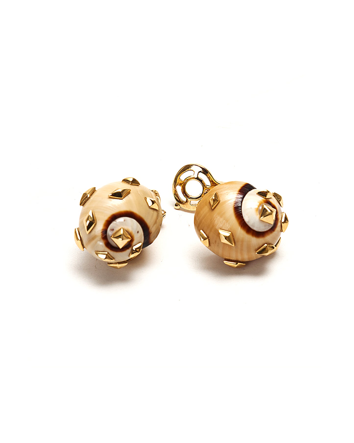 Beige Polymita shell earrings