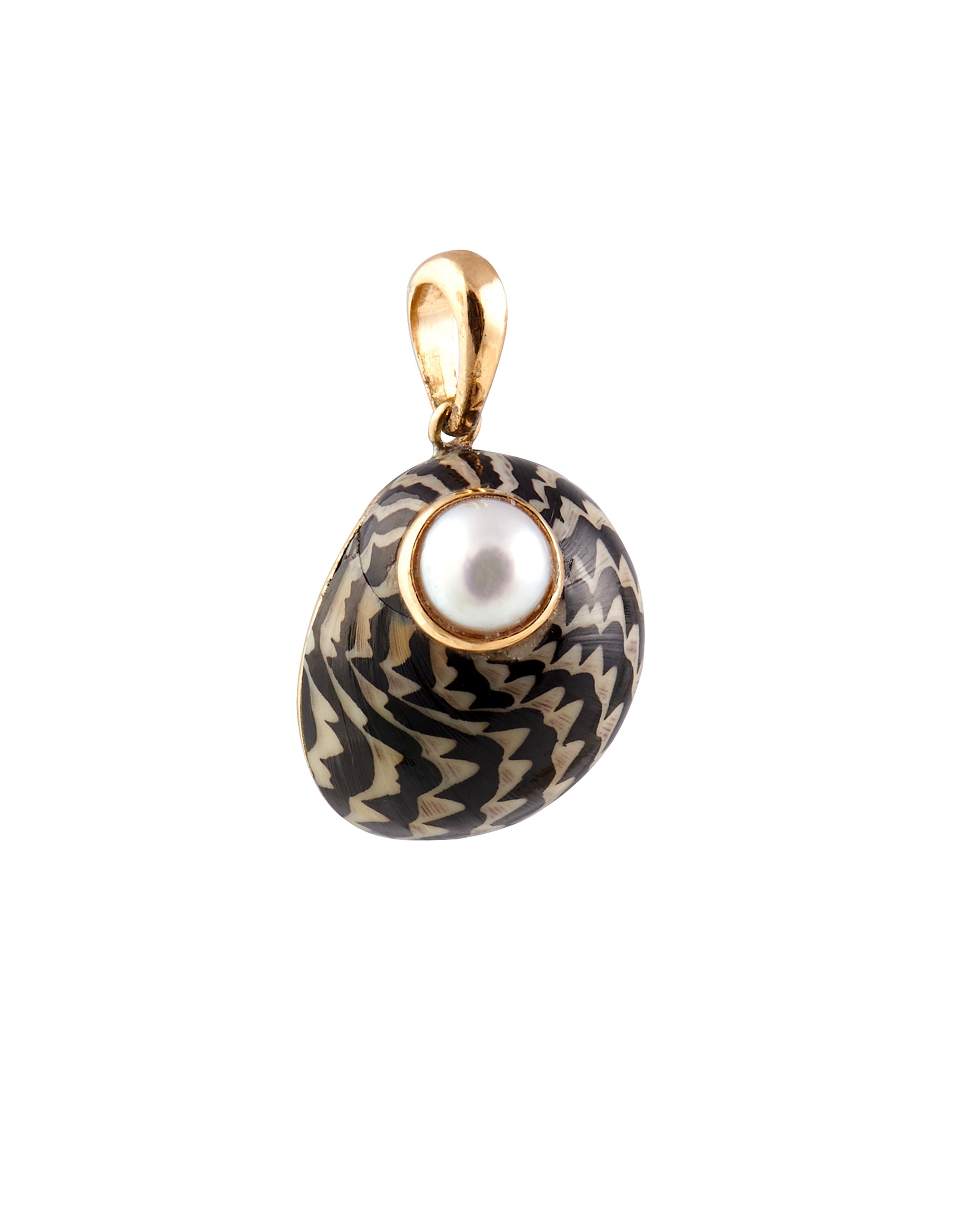 White Pearl Nerita shell