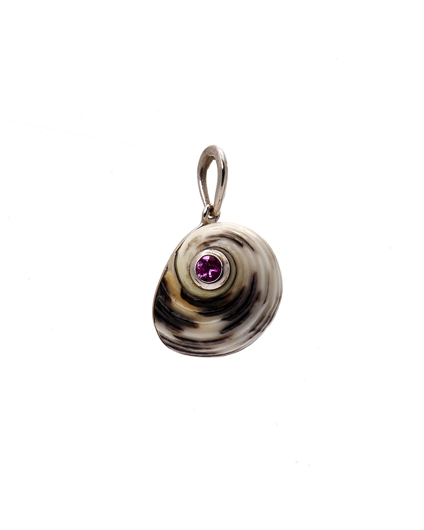 Pink Sapphire Versicolor shell