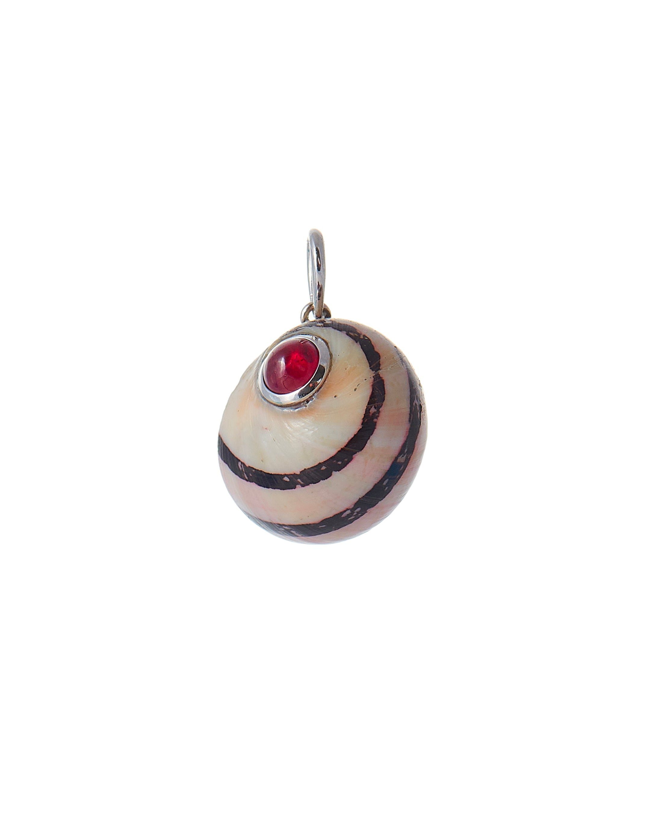 Ruby Cabochon Versicolor shell