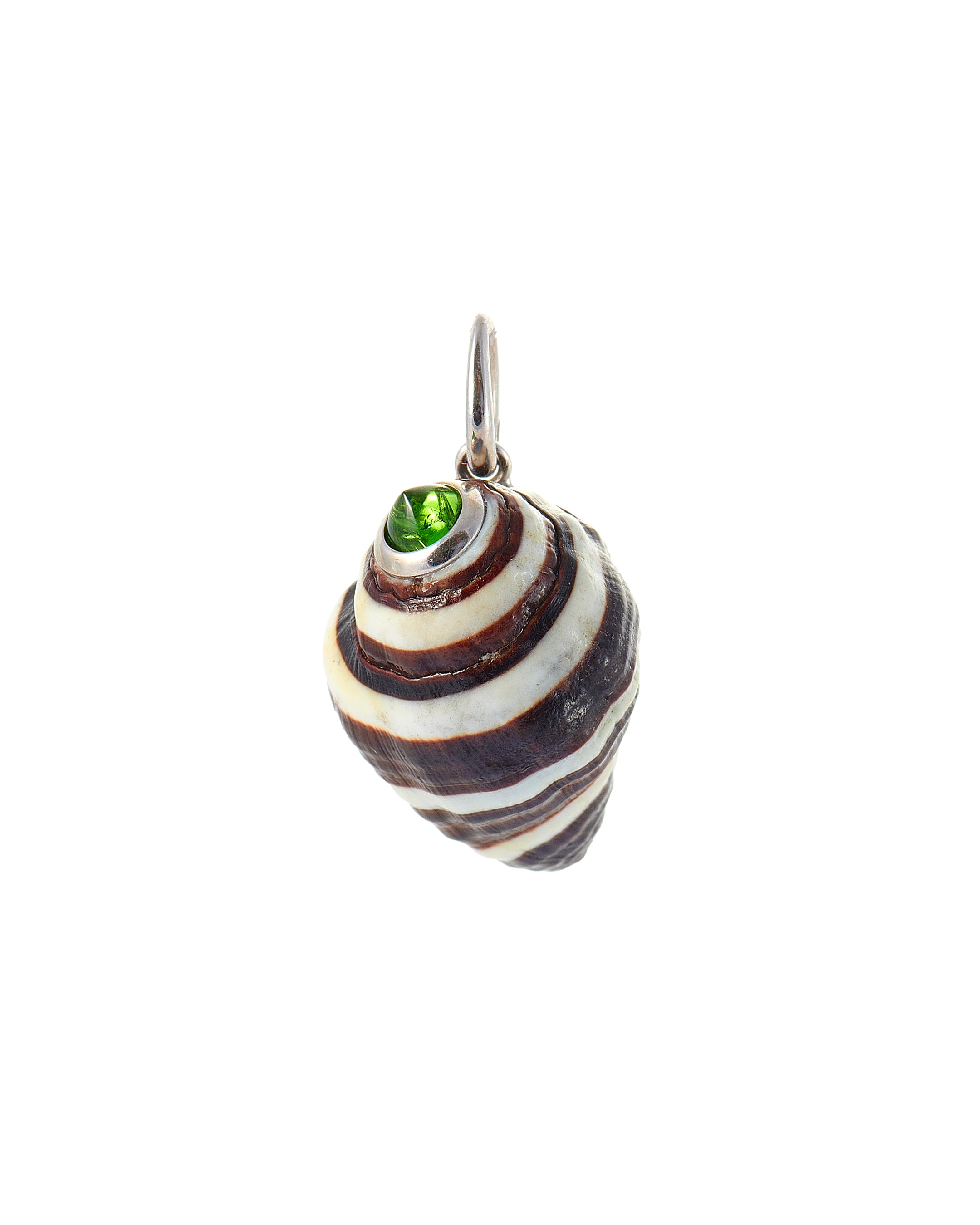 Chrome Diopside Stripe shell